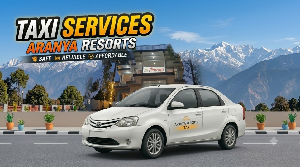 Taxi Services